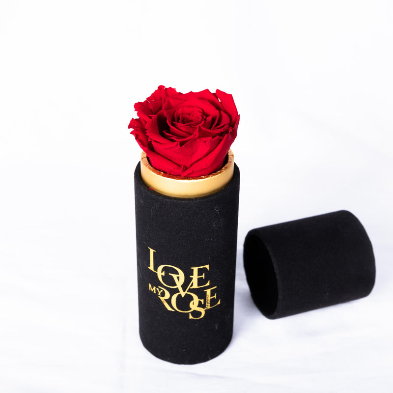 Single Eternal Rose In Suede Package