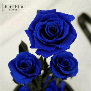 Rare Design - Three Eternal Roses In Elegant Glass Dome