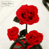 Rare Design - Three Eternal Roses In Elegant Glass Dome