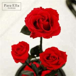 Rare Design - Three Eternal Roses In Elegant Glass Dome