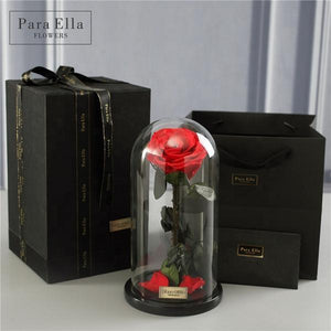Single Eternal Rose In Elegant Glass Dome