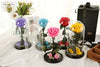 Single Eternal Rose In Elegant Glass Dome