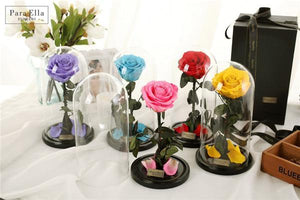 Single Eternal Rose In Elegant Glass Dome